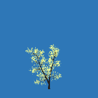 greenshift tree