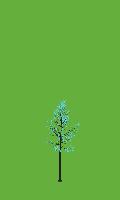 greenshift tree