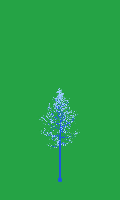 greenshift tree