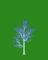 greenshift tree