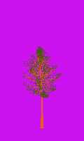 greenshift tree