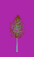 greenshift tree