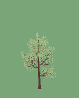 greenshift tree