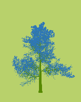 greenshift tree