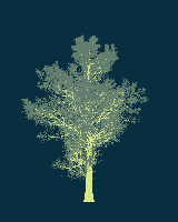 greenshift tree