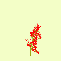 greenshift tree