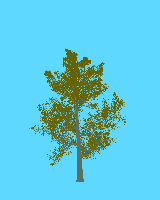 greenshift tree