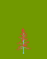 greenshift tree