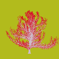 greenshift tree