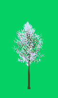 greenshift tree