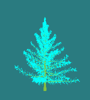 greenshift tree