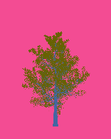 greenshift tree