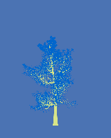 greenshift tree