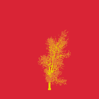 greenshift tree