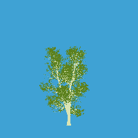 greenshift tree