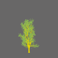 greenshift tree