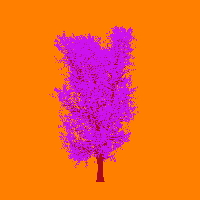 greenshift tree
