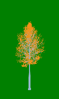 greenshift tree