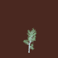 greenshift tree