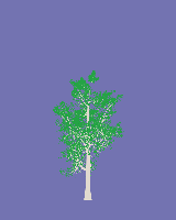 greenshift tree