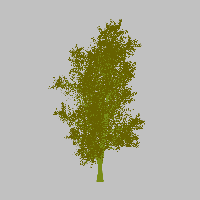 greenshift tree