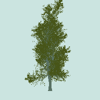 greenshift tree