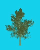 greenshift tree