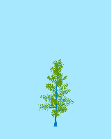 greenshift tree