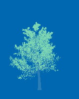 greenshift tree