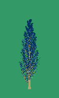 greenshift tree