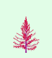 greenshift tree