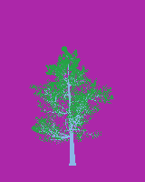 greenshift tree