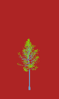 greenshift tree
