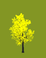greenshift tree