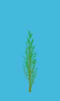 greenshift tree