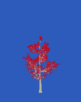 greenshift tree