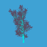 greenshift tree