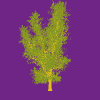 greenshift tree