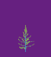 greenshift tree