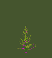 greenshift tree