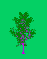 greenshift tree
