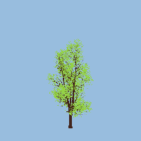 greenshift tree