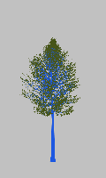 greenshift tree