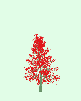 greenshift tree