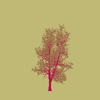 greenshift tree