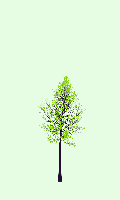 greenshift tree