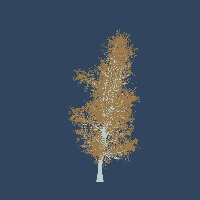 greenshift tree