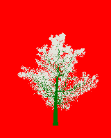greenshift tree