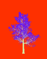 greenshift tree