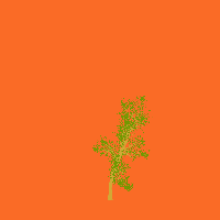 greenshift tree